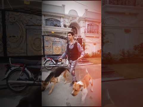 Rana Muzamil TikTok video| #famousshorts