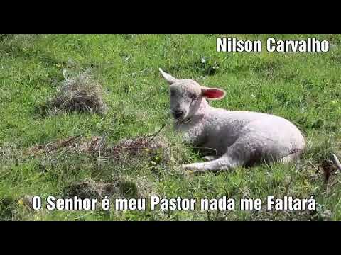 Cem ovelhas... Cantor Samuel de Camargo... Lindas Mensagens de Louvor.