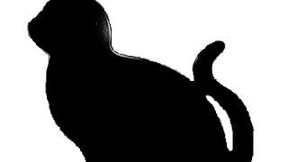 くろねこ のライブ ストリーム