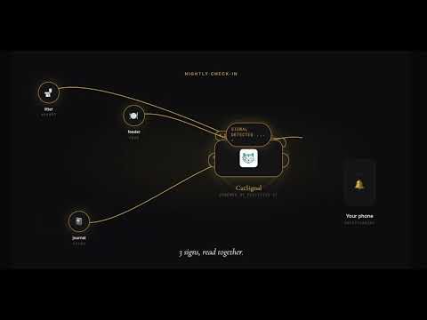 CatSignal video thumbnail