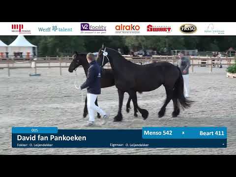 CK 2025 | Veulens en Jeugd Baan 1 | 11 September 2025