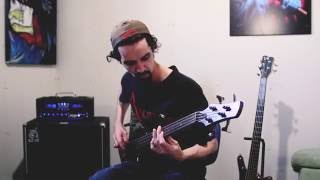Silence calls the storm ( bass cover ) Quo vadis