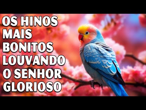 Hinos CCB 2023 - Os Hinos Mais Bonitos Louvando O Senhor Glorioso - Os Mais Belos Hinos CCB Cantados