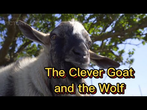The Clever Goat and the Wolf: A Moral Story for Kids