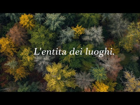 L'entità delle nazioni/città/regioni/province #nazioni #città #province #regioni #entità 