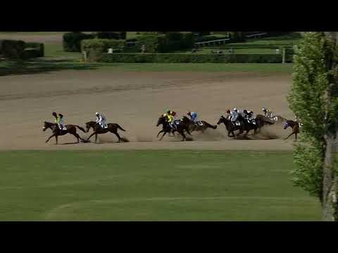 2. dostih - Cena memoranda "Dostihový spolek a.s., HC Dynamo" - dostihy Pardubice 8. 5. 2019