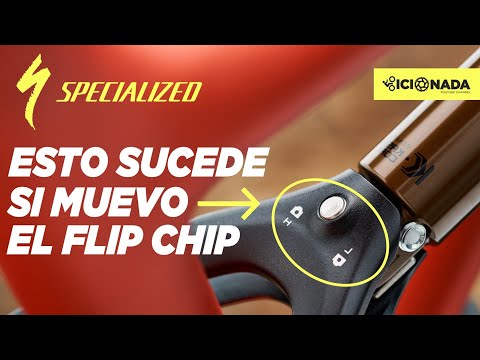 FLIP CHIP / Geometry Change my SPECIALIZED EPIC EVO