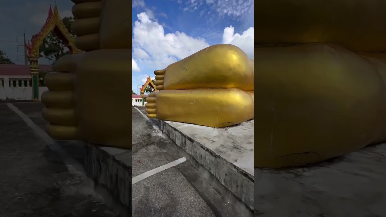 YouTube Short thumbnail