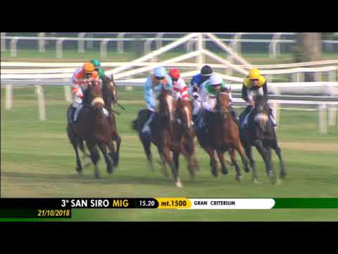 2018.10.21 Premio Gran Criterium (ITA) - Mission Boy