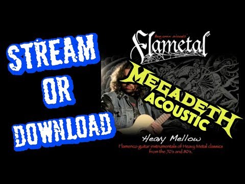 Megadeth Acoustic - In my Darkest Hour - Flametal Ben Woods - Heavy Mellow