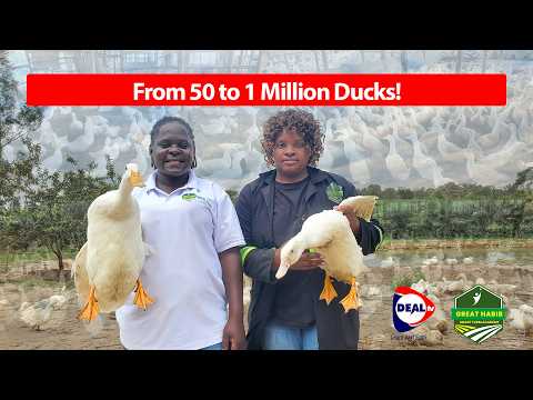 From 50 to 1 Million Ducks in 6 Years! 🦆💰 | Duck Farming Success Story in Uganda