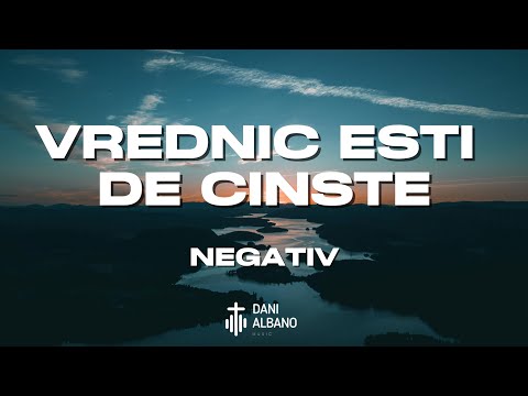 VREDNIC EȘTI DE CINSTE - NEGATIV TON FATA