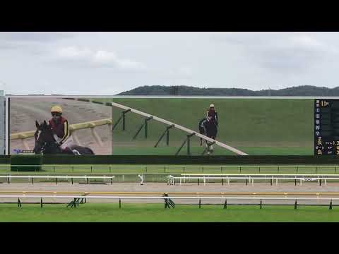 ソングラインが初GI制覇！安田記念の最後の直線からウイニングランまで【安田記念2022】