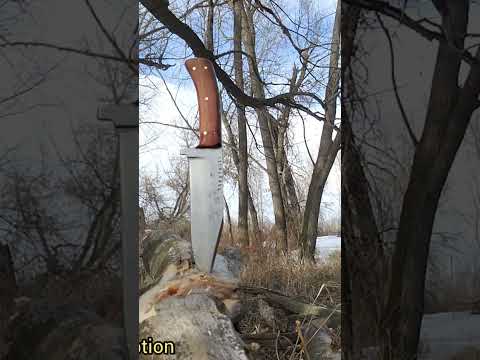 knife test #blade #bushcraft #knife
