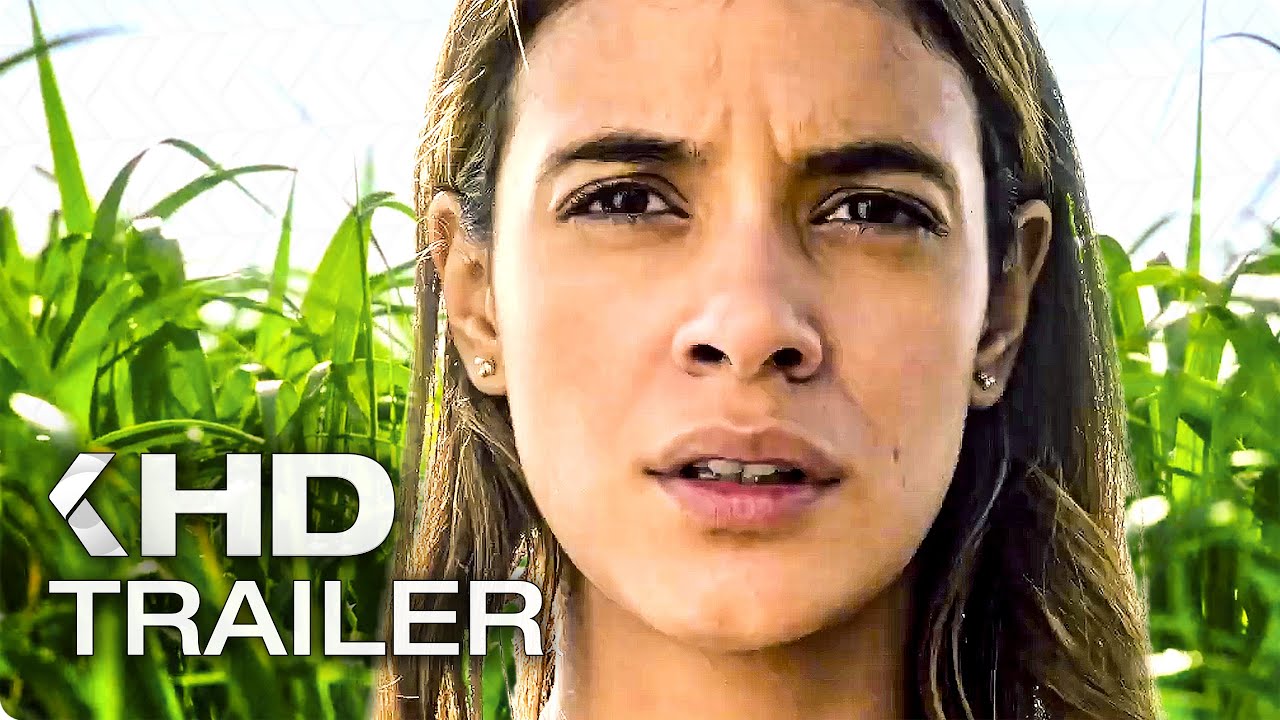 New Horror Movie: In the Tall Grass, 2019