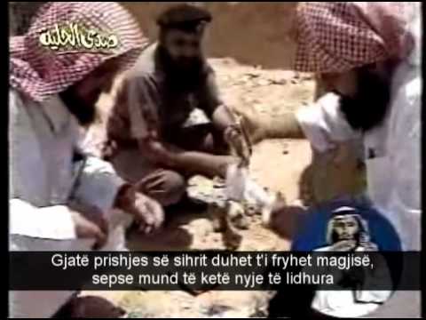 Kurthat e Magjistarit - 1  - TITRA SHQIP