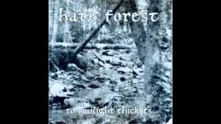 Hate Forest - Black Forest