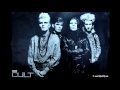 Electric Ocean - The Cult