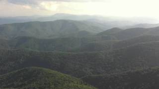 Pig by Dave Matthews Band