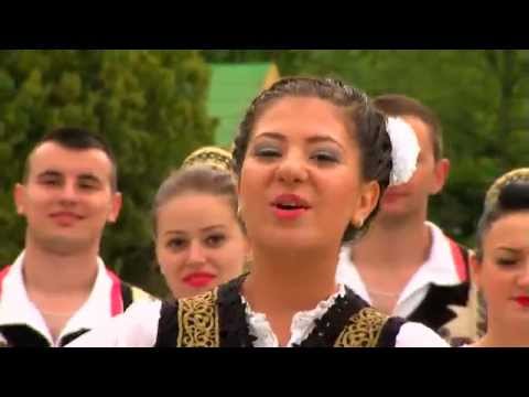 Maria Costache - Cata frunza cata iarba