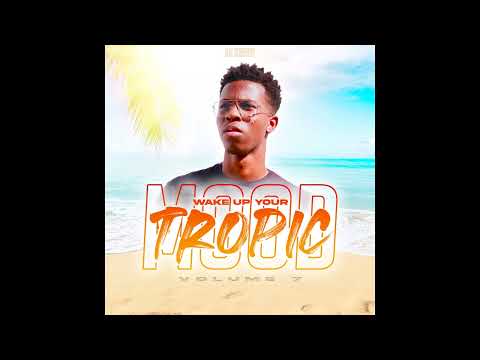 DJ ZERFLY - Wake Up Your Tropic Mood Vol.7