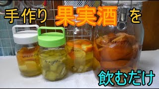 【ゆっくり】つくった果実酒を飲むだけの動画