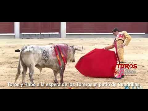 El Torero Francés Tomás Dufau Histórico en el desafío Ganadero con el Toro # 47 de los Maños