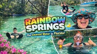Would You Paddle With Gators? | Paddle Boarding Rainbow River To Rainbow Springs State Park In FL