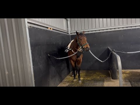 Jenkins Update I 180723