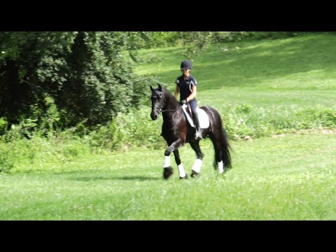 For Sale: Grand Amour ISF (Tjalbert 460 x Teade 392, Sport) Hacking Out, 2025