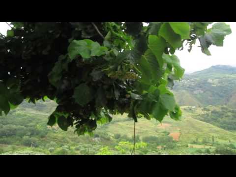 Calabria Italy. (Southern Italy)