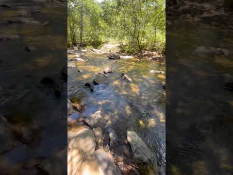 Hj em dia não se pode mais ter Opnião. #goias #viajar #pirenopolis