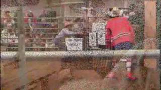 Few of my bullrides(PBR Allstars- Keep me Alive)