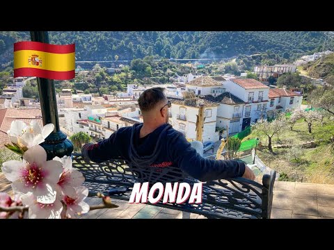 Almond trees in Monda. Andalusia.