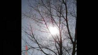 Mille Braccia - Laura Pausini - primavera in anticipo - tradução em portugues