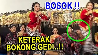 Download lagu Percil Cs   Proborini : Percil gak kuwat musuh bokonge Probo... Jan marai senep nyang weteng wk..wk mp3