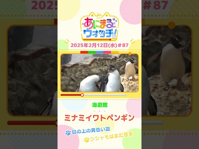 動画イメージ