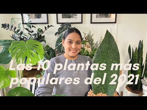 , title : 'Las 10 Plantas mas Populares del 2021'