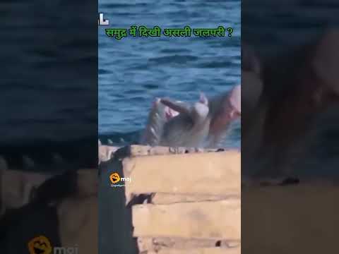 Real mermaid caught on camera #shorts