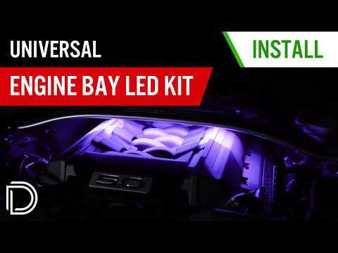 How to Install RGBW Multicolor Engine Bay LED Strip Kit | Diode Dynamics