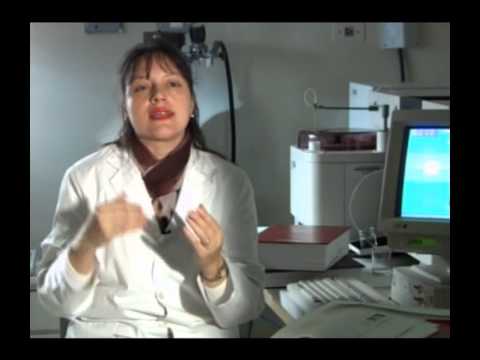 conf MACAÑO DABBENE