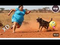 Try Not To Laugh Challenge Level 20 Extreme Funniest Videos Laugh Funny Comedy Funnyvideos