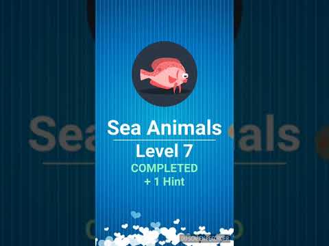 Learn  Word English Video