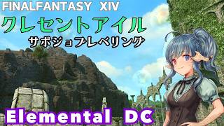 アクセ狙いながらサポジョブあげ【FF14】