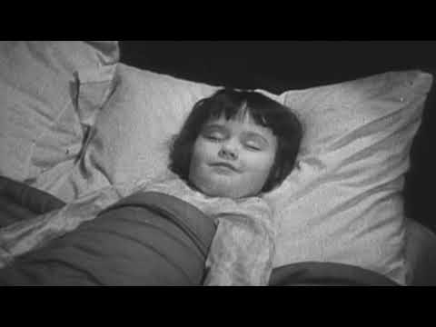 Al Jolson - Little Pal (1929)