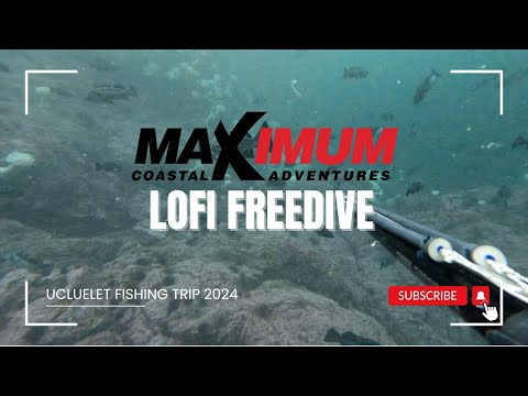 LOFI FREEDIVE - Spearfishing in Ukee | Maximum Coastal Adventures