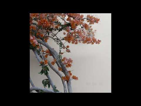 [FREE] ambient midwest emo type beat | "finesse" (prod jolst)