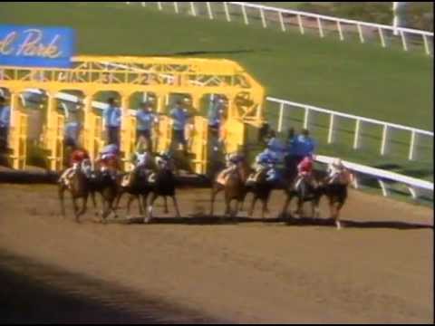1984 Breeders' Cup Classic