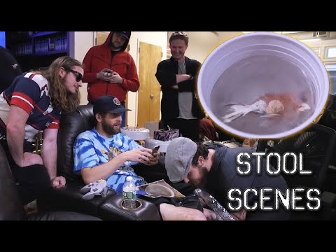 Gambling Goldfish Larry 2 Leaves Lasting Legacy - Stool Scenes 9