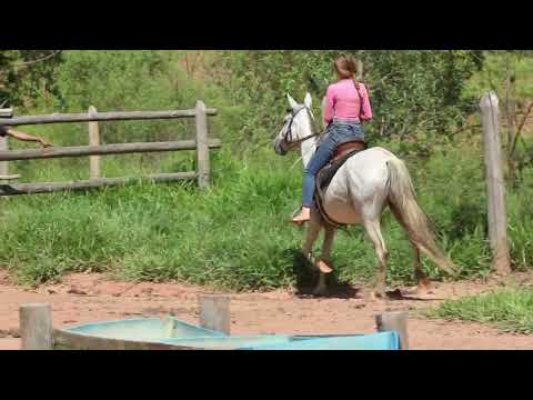 02  Atrevida Essência da Marcha